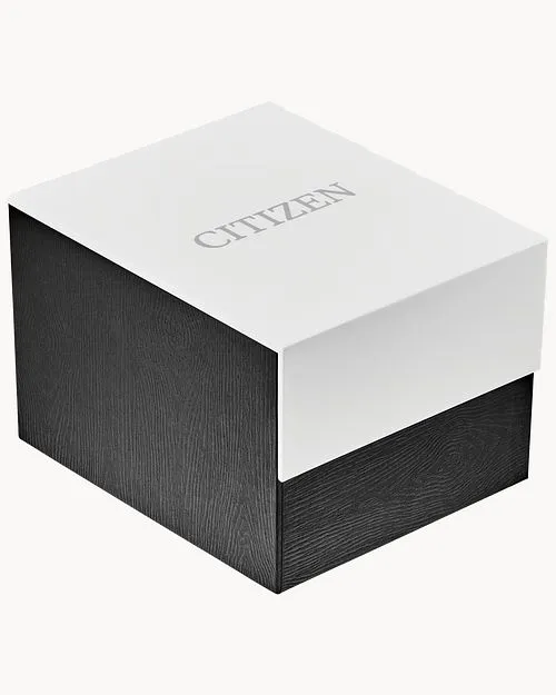 Citizen Corso Eco-Drive Steel Watch FE2104-50A