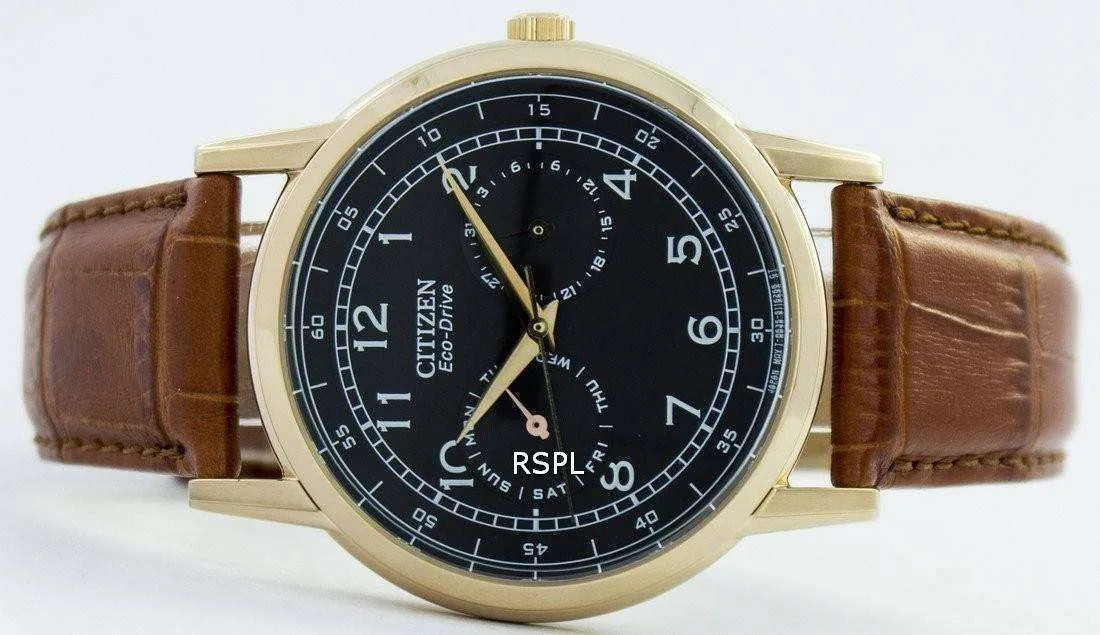 Citizen Dress Eco-Drive AO9003-08E Men's Watch