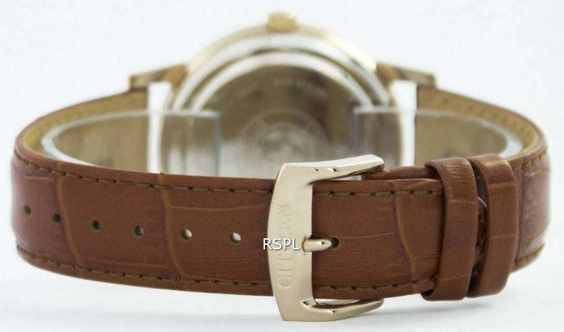 Citizen Dress Eco-Drive AO9003-08E Men's Watch
