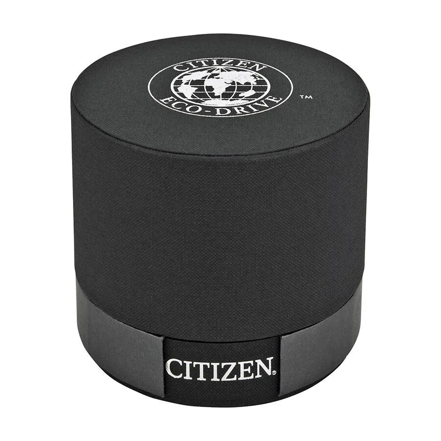 Citizen Men's Eco Drive Black Dial Titanium Watch BM6560-54H