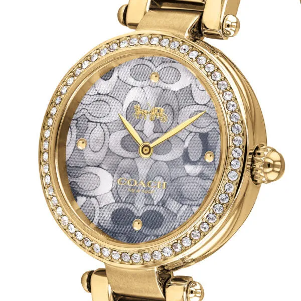 Coach Quarts Gold Blue Dial Women's Watch 14503225