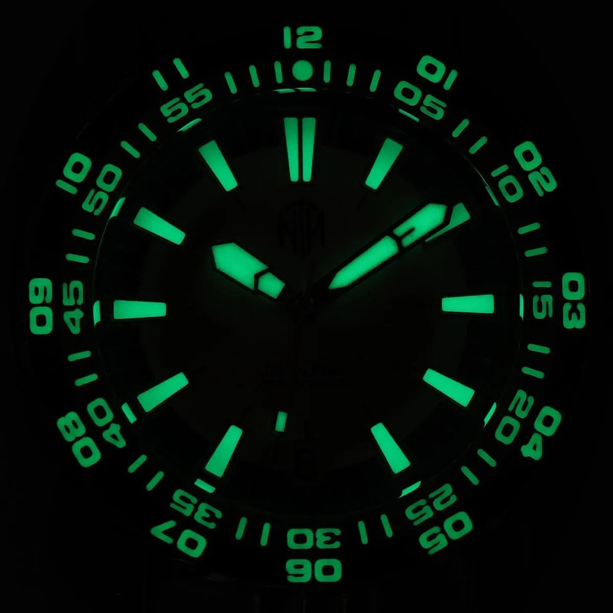 NTH DevilRay Automatic Dive Watch - No Date - Silver Sunburst - LIKE NEW