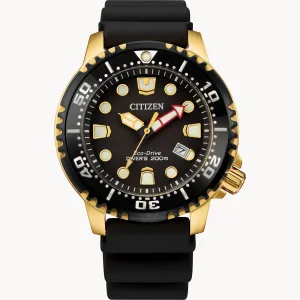 PROMASTER DIVE - BN0152-06E