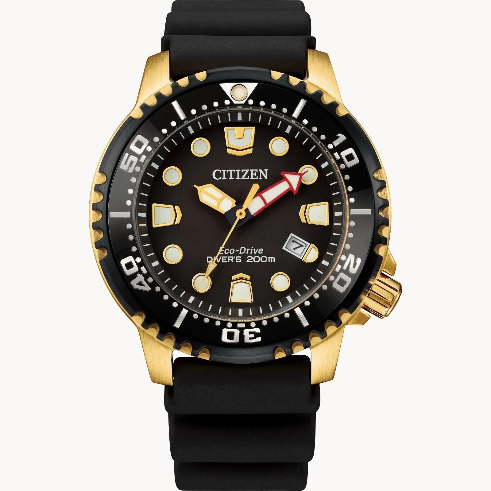 PROMASTER DIVE - BN0152-06E
