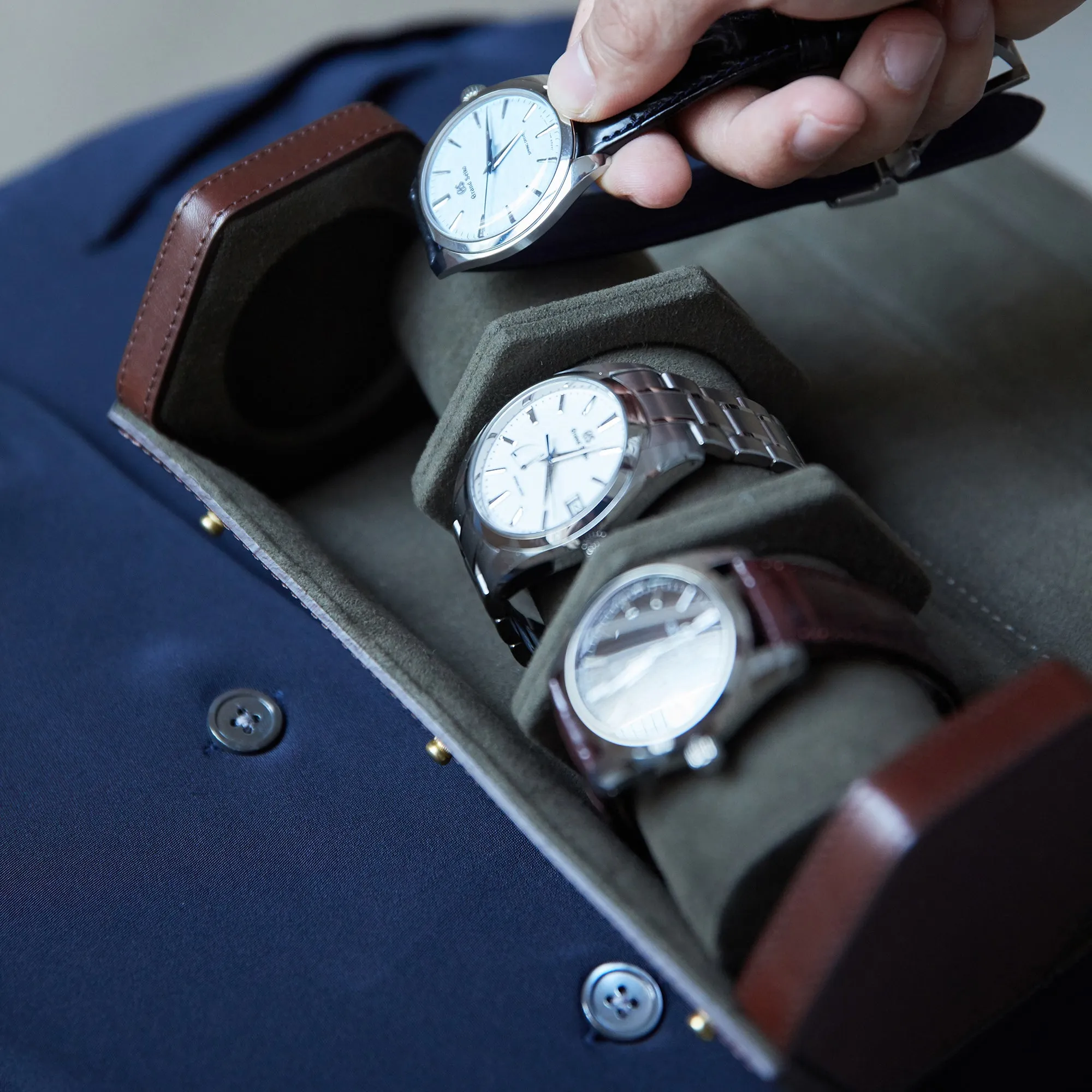 Watch Roll