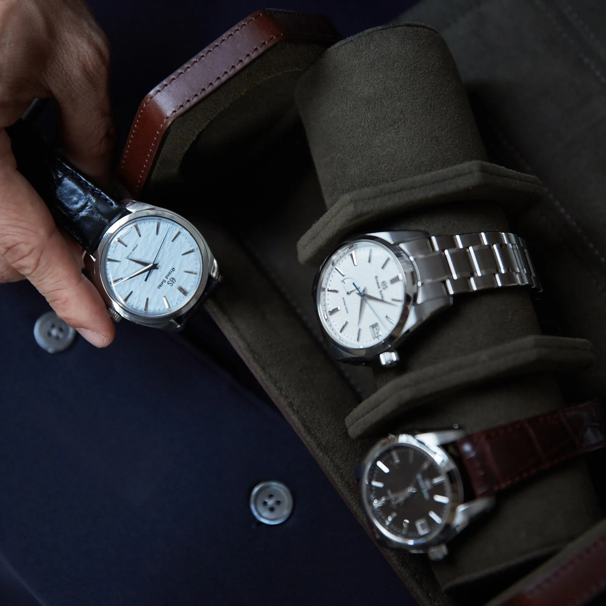 Watch Roll