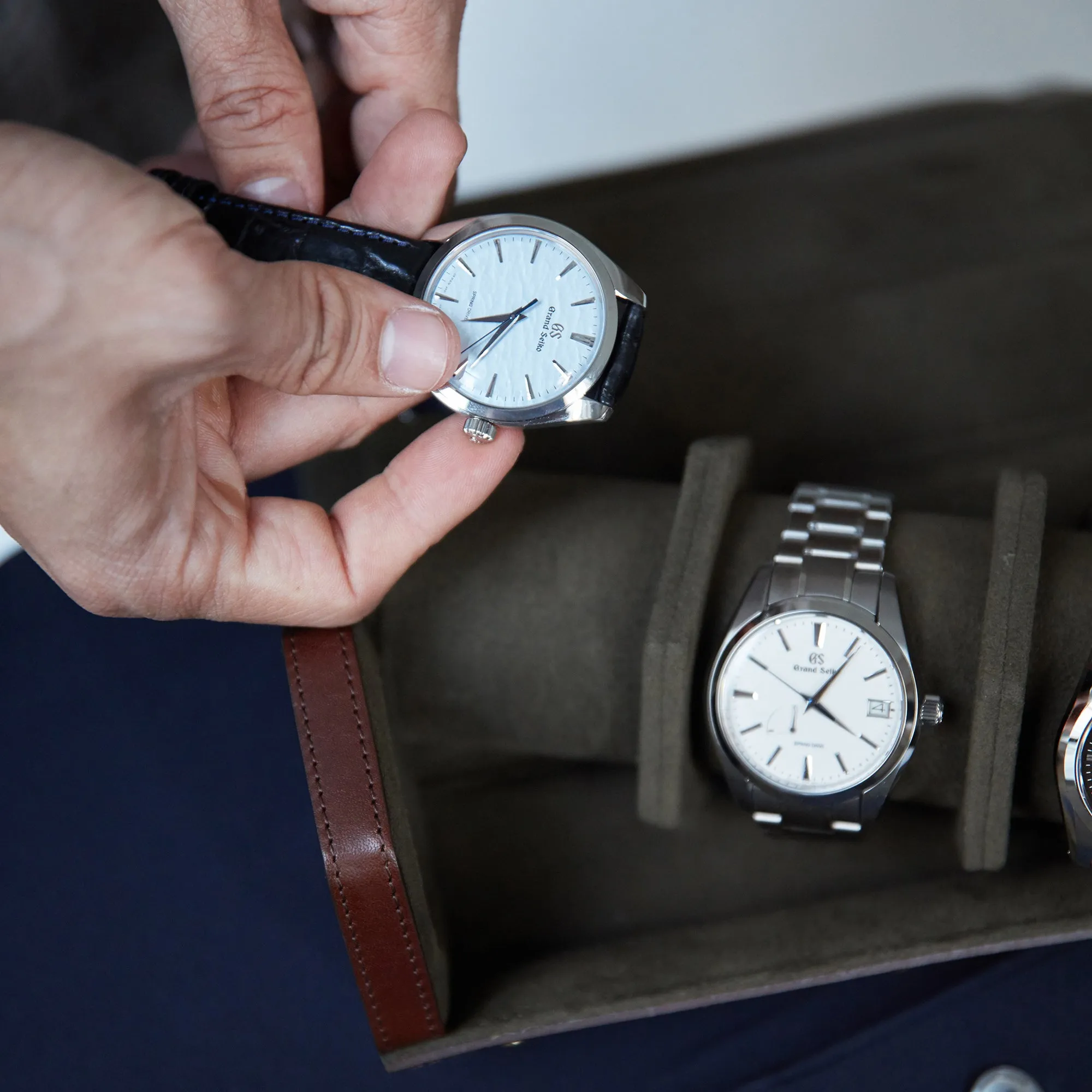 Watch Roll